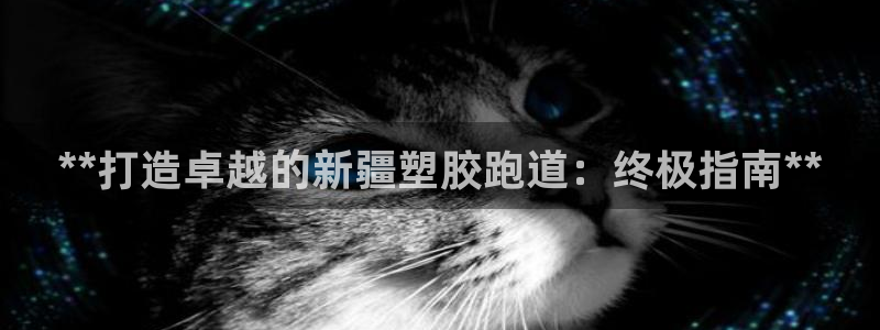 777814红·足一世：**打造卓越的新疆塑胶跑道：终极指南**