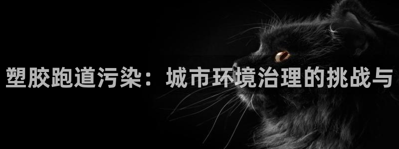 红足一1世比分：塑胶跑道污染：城市环境治理的挑战与