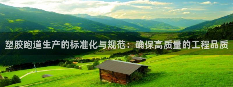 百度红足一1是为什么：塑胶跑道生产的标准化与规范：确保高质量的工程品质