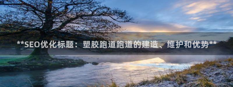 红足1世1站：**SEO优化标题：塑胶跑道跑道的建造、维护和优势**