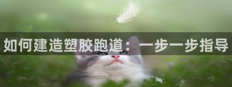 红足一1世手机开奖：如何建造塑胶跑道：一步一步指导