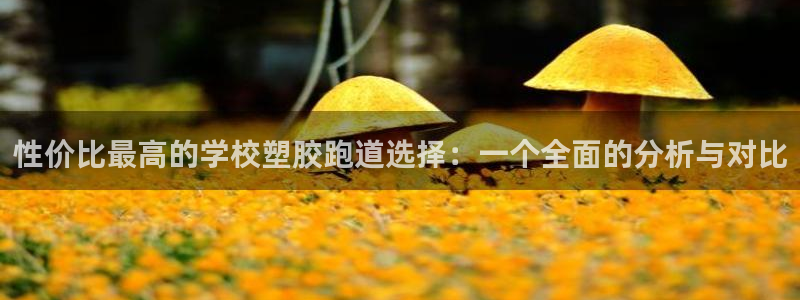 777814红·足一世：性价比最高的学校塑胶跑道选择：一个全面的分析与对比