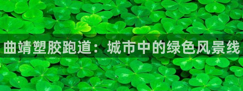 新2足球平台出租网站：曲靖塑胶跑道：城市中的绿色风景线