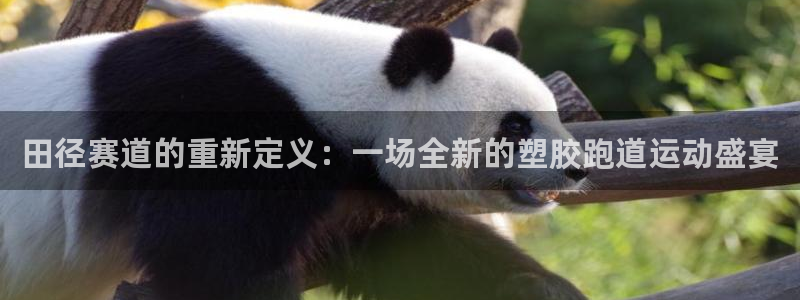 红足1一世足球手机：田径赛道的重新定义：一场全新的塑胶跑道运动盛宴