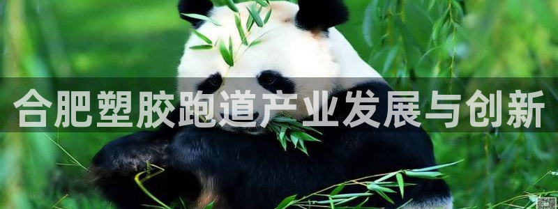 红足1一世足球手机：合肥塑胶跑道产业发展与创新