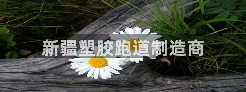 百度红足一1使用说明：新疆塑胶跑道制造商