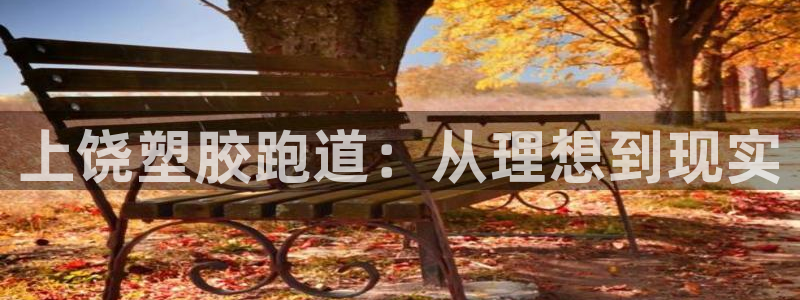 红足1世手足球比分：上饶塑胶跑道：从理想到现实