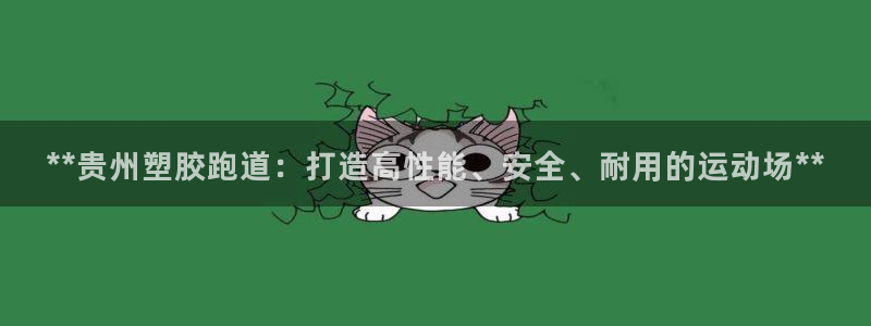 红足一1世平台：**贵州塑胶跑道：打造高性能、安全、耐用的运动场**