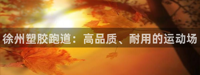 红足一1世66814新宝：徐州塑胶跑道：高品质、耐用的运动场