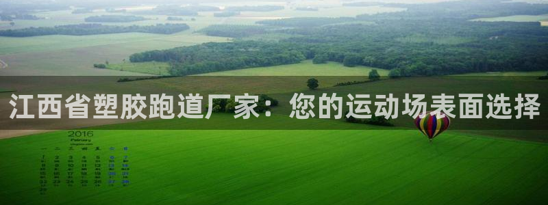 百度红足一1是为什么：江西省塑胶跑道厂家：您的运动场表面选择