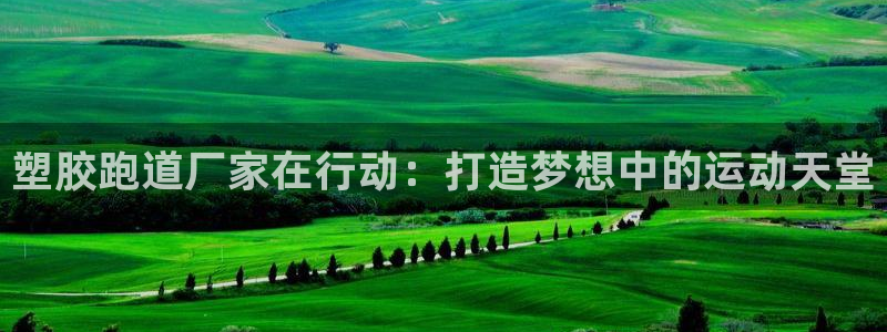 红足一球：塑胶跑道厂家在行动：打造梦想中的运动天堂