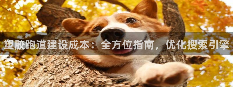 44814红足:塑胶跑道建设成本:全方位指南,优化搜索引擎