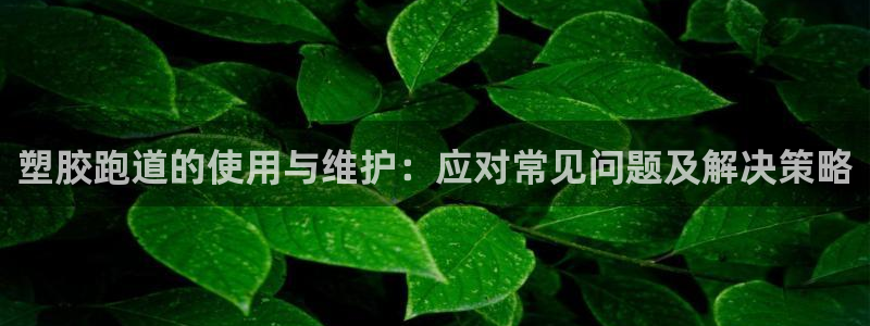 红足一1世77814:塑胶跑道的使用与维护:应对常见问题及解决策略