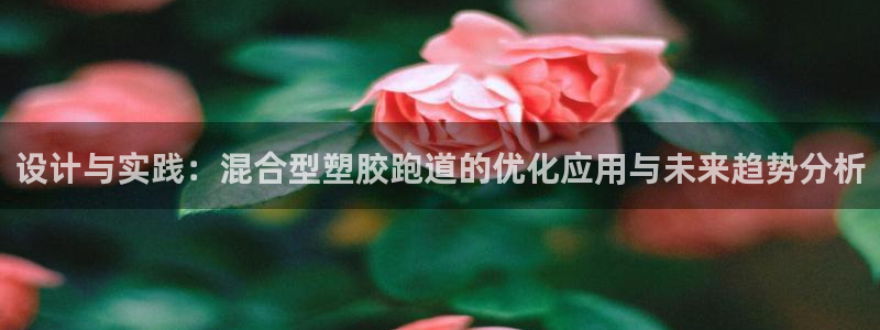 红足1一世红：设计与实践：混合型塑胶跑道的优化应用与未来趋势分析