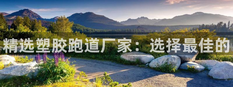 百度红足一1使用说明:精选塑胶跑道厂家:选择最佳的