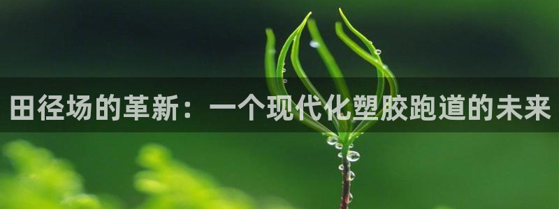 百度红足一1是什么样子的：田径场的革新：一个现代化塑胶跑道的未来