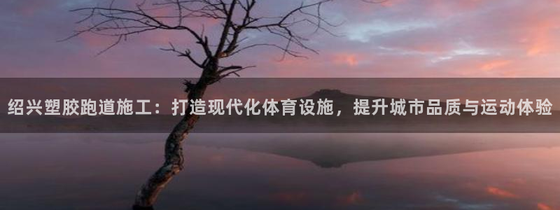 红足一1世66814新宝：绍兴塑胶跑道施工：打造现代化体育设施，提升城市品质与运动体验