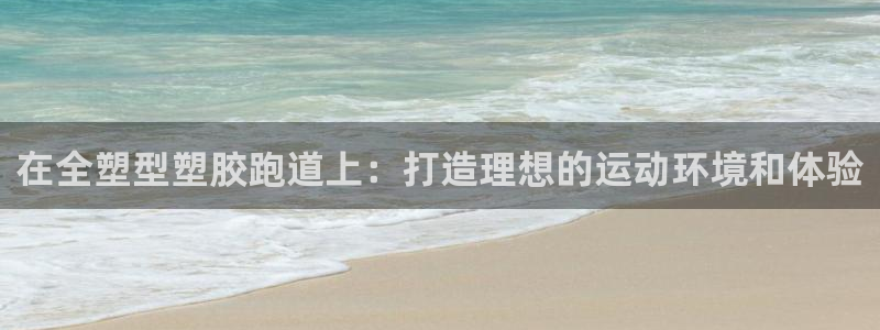 百度红足一1是什么样子的：在全塑型塑胶跑道上：打造理想的运动环境和体验