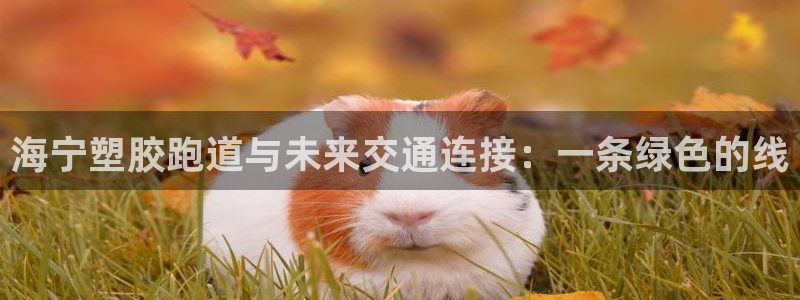 红足一1世比分球探：海宁塑胶跑道与未来交通连接：一条绿色的线