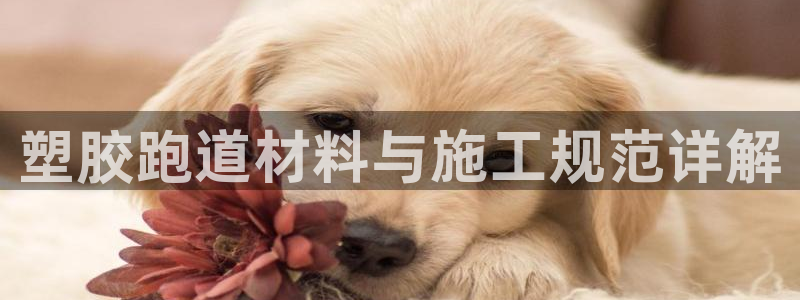 777814红·足一世比分篮球：塑胶跑道材料与施工规范详解