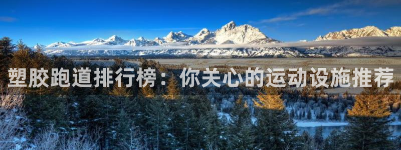 红足一1世官网比分：塑胶跑道排行榜：你关心的运动设施推荐