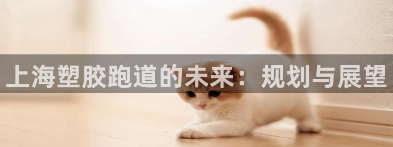 666814红·足一世比分：上海塑胶跑道的未来：规划与展望