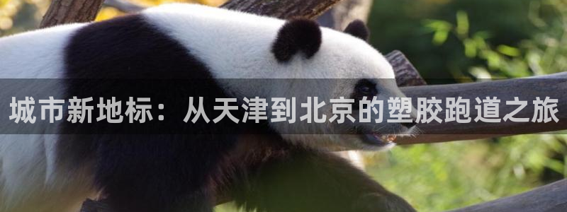 红足一生世：城市新地标：从天津到北京的塑胶跑道之旅