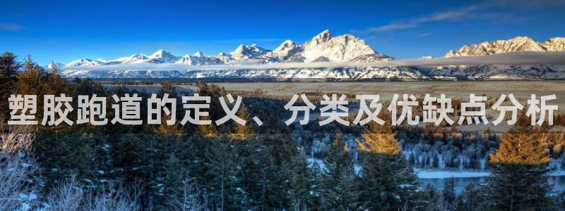 百度红足一1世:塑胶跑道的定义、分类及优缺点分析