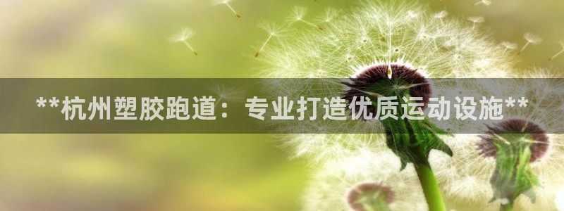 红足一1世666814足球比分网：**杭州塑胶跑道：专业打造优质运动设施**