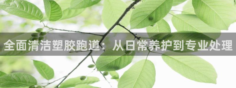 红足一一世足球网开奖记录：全面清洁塑胶跑道：从日常养护到专业处理
