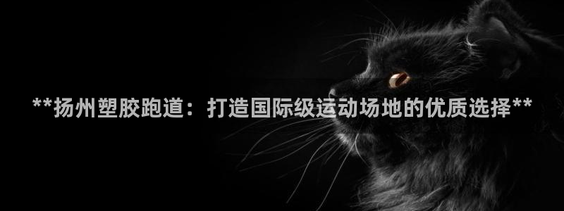 红足1一世开奖版：**扬州塑胶跑道：打造国际级运动场地的优质选择**