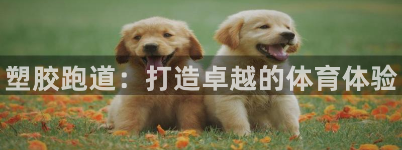 66814红足一66814世：塑胶跑道：打造卓越的体育体验