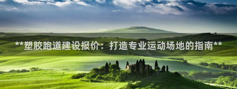 红足一1世开奖记录:**塑胶跑道建设报价:打造专业运动场地的指南**