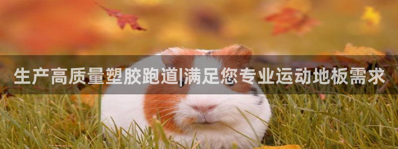 红世一足球比分：生产高质量塑胶跑道|满足您专业运动地板需求