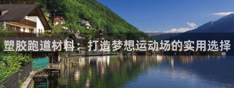 百度红足一1是为什么：塑胶跑道材料：打造梦想运动场的实用选择