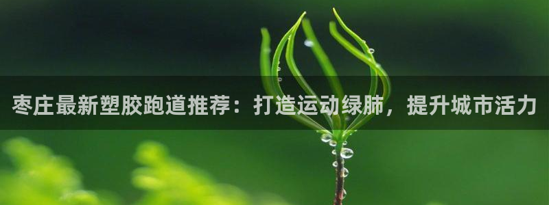 红足l一世开奖现场62ty：枣庄最新塑胶跑道推荐：打造运动绿肺，提升城市活力