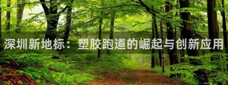 红足一球：深圳新地标：塑胶跑道的崛起与创新应用