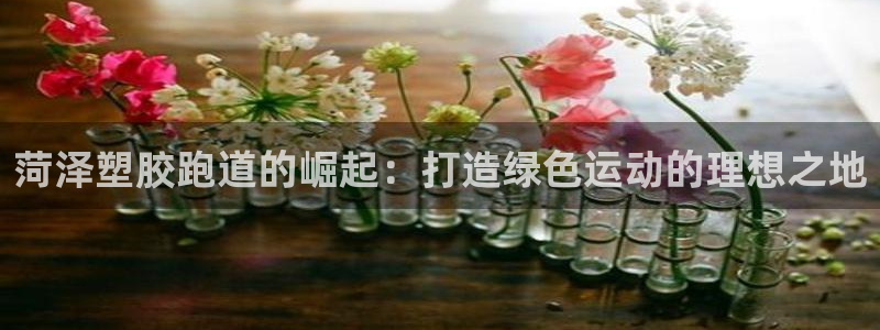 66814红足：菏泽塑胶跑道的崛起：打造绿色运动的理想之地