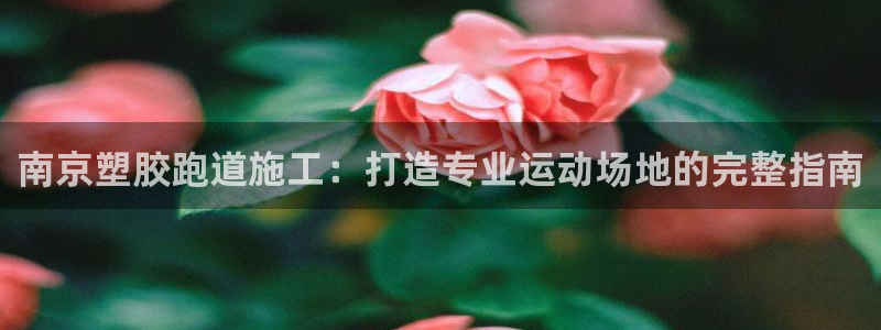66814红足：南京塑胶跑道施工：打造专业运动场地的完整指南