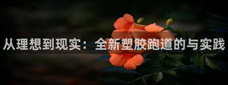 百度红足一1世：从理想到现实：全新塑胶跑道的与实践