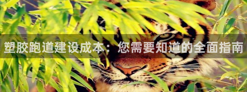 777814红·足一世比分：塑胶跑道建设成本：您需要知道的全面指南