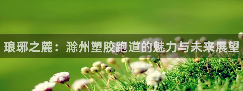 红足一1世手机皇冠：琅琊之麓：滁州塑胶跑道的魅力与未来展望
