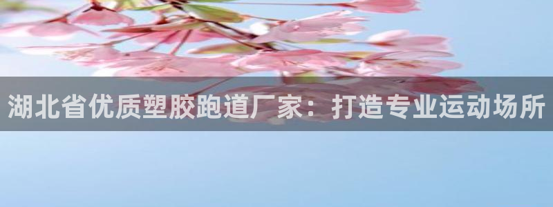 红足一1世开奖记录：湖北省优质塑胶跑道厂家：打造专业运动场所
