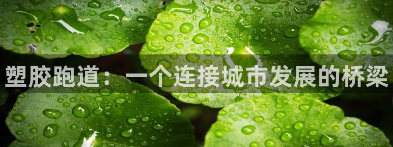 红足体育网：塑胶跑道：一个连接城市发展的桥梁