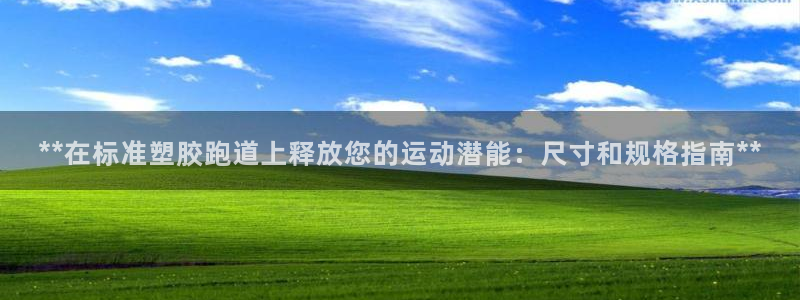 红足一1世官网比分:**在标准塑胶跑道上释放您的运动潜能:尺寸和规格指南**